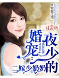 阁楼里的女孩第二本叫什么