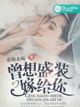 女主是男主养的小三